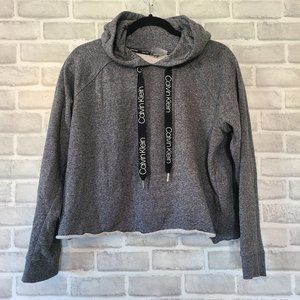Calvin Klein Performance Crop Hoodie Sweatshirt Gray Womens Large Soft